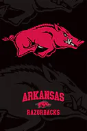 University of Arkansas at Little Rock logo